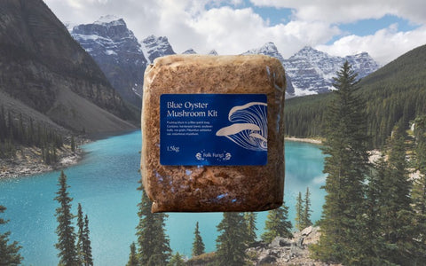 A mushroom kit imposed over Moraine Lake, Alberta.