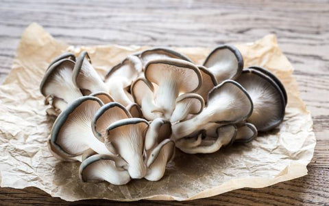 A flush of oyster mushrooms on waxed paper.