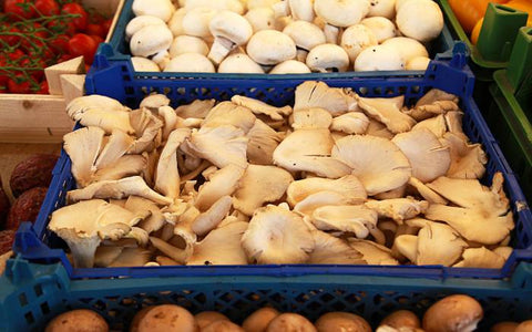 Boxes of mushrooms for sale at a market.