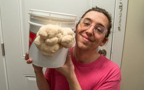 A man holds a bucket with lion's mane mushrooms growing from it.