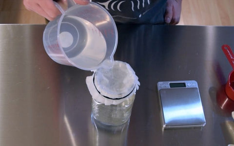 A person pours the liquid culture solution through a coffee filter.