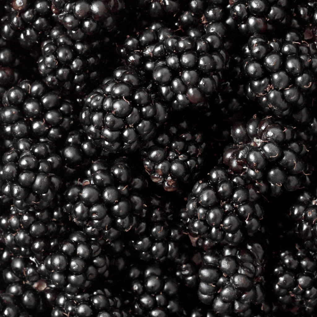 Blackberry seed oil is high in omega 3 fatty acids