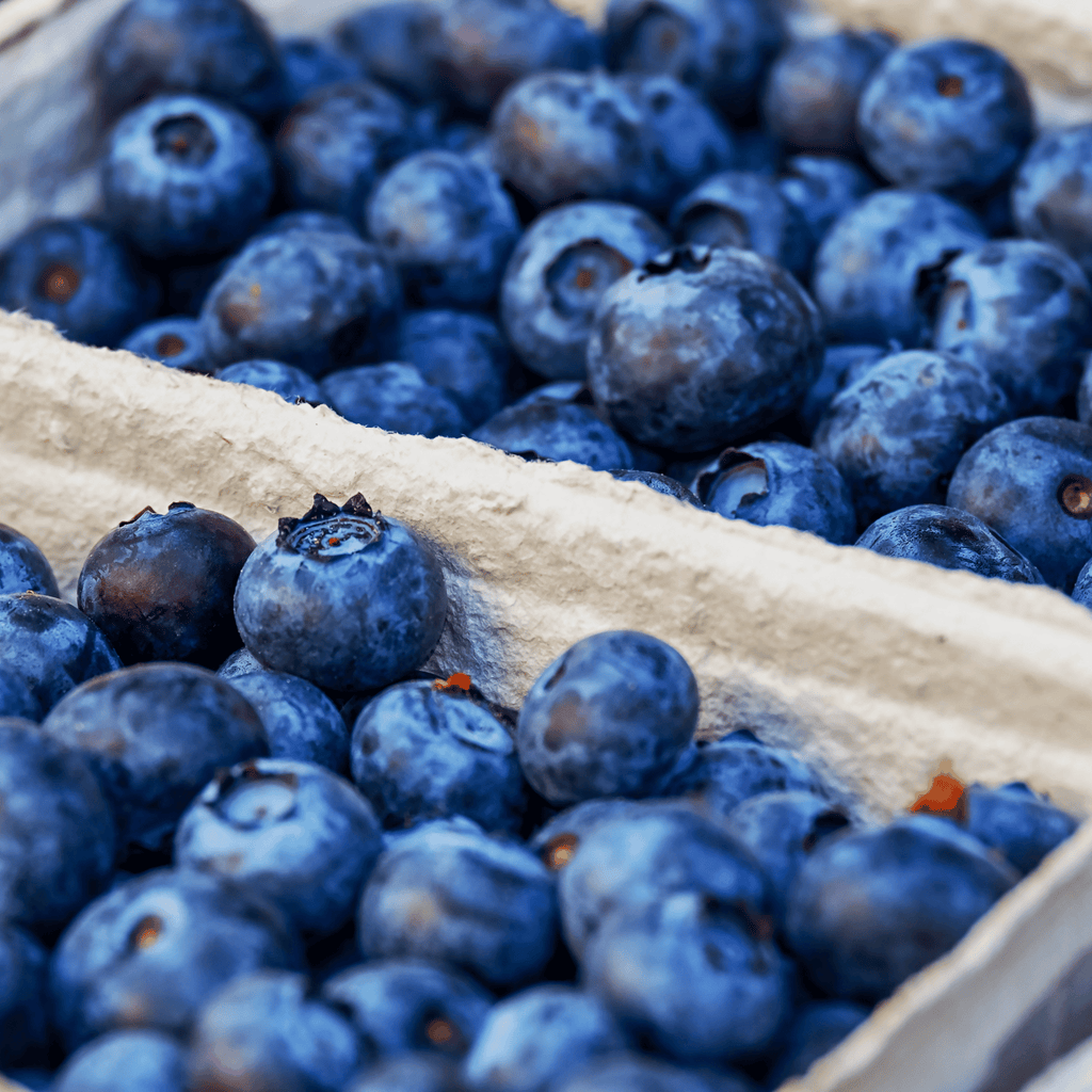 Blueberry seed oil is high in omega 3 fatty acids