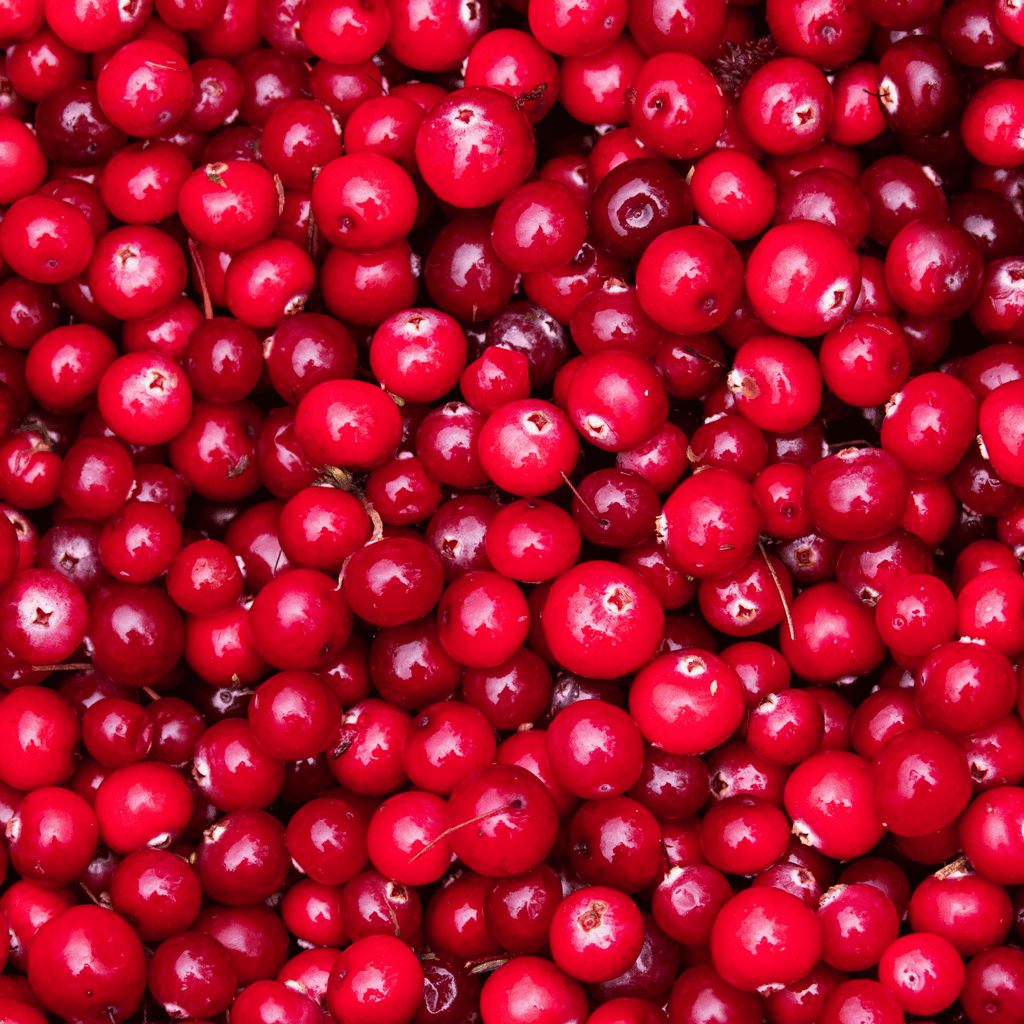 Arctic cranberry seed oil is high in omega 3 fatty acids