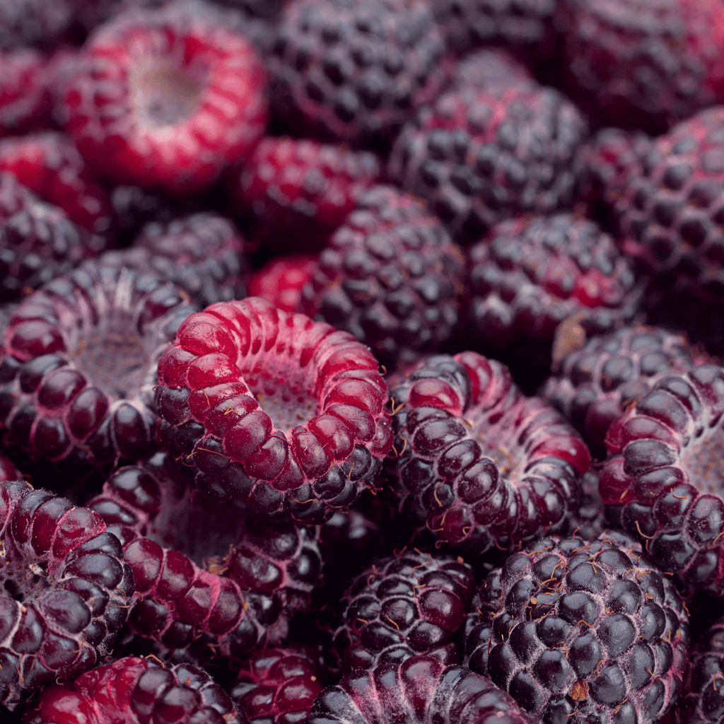 Black Raspberry seed oil is high in omega 3 fatty acids