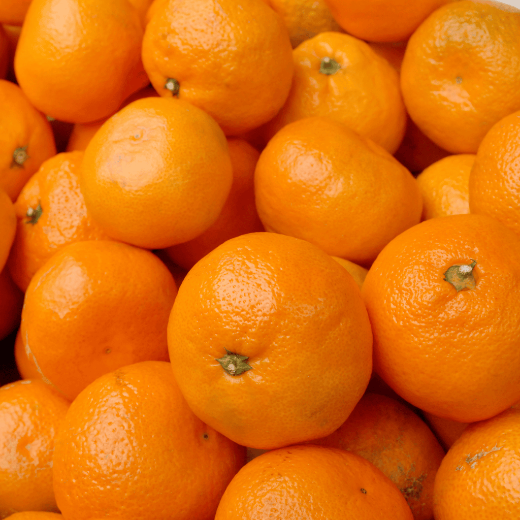 ▷ Was sind die besten Orangen der Welt? Citrus Siscaret