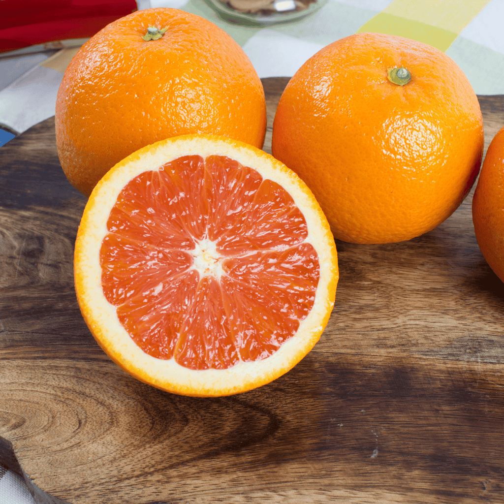 ▷ Was sind die besten Orangen der Welt? Citrus Siscaret