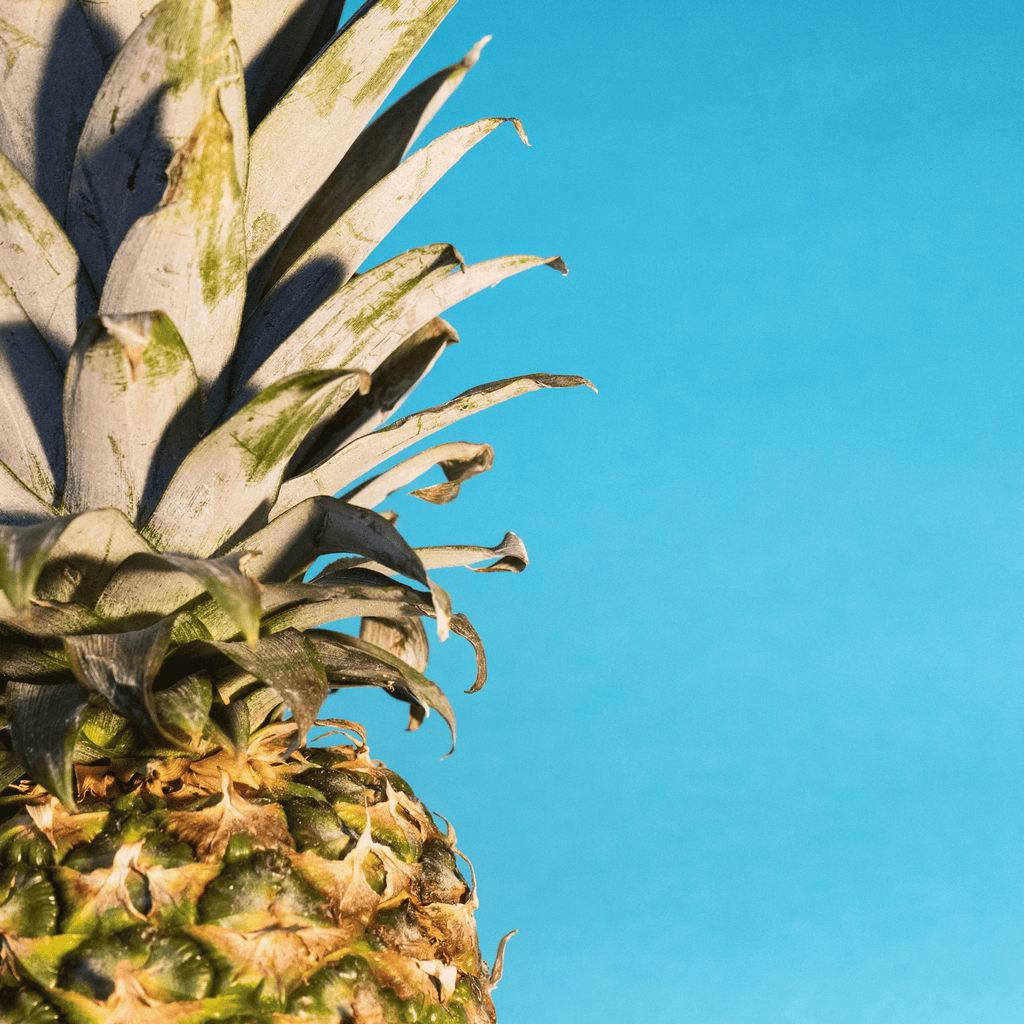 What is pineapple seed oil?