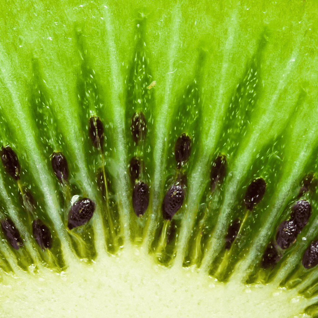 What is Kiwi Seed Oil?