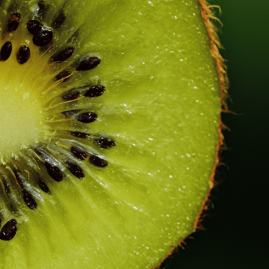 What is Kiwi Seed Oil?