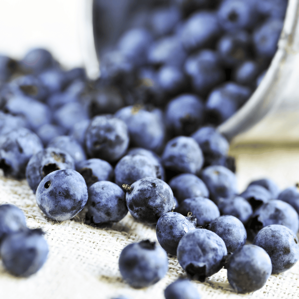What is blueberry seed oil?