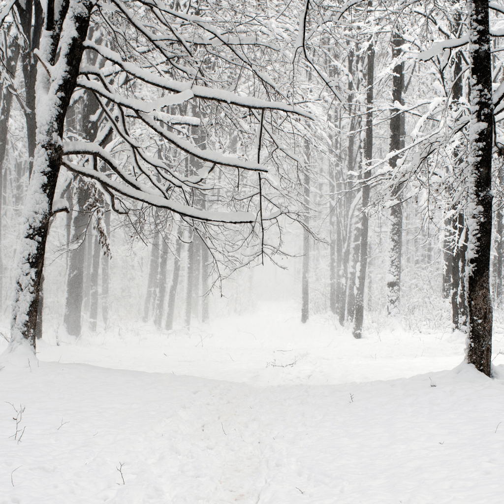 How to Treat Dry Skin in Winter