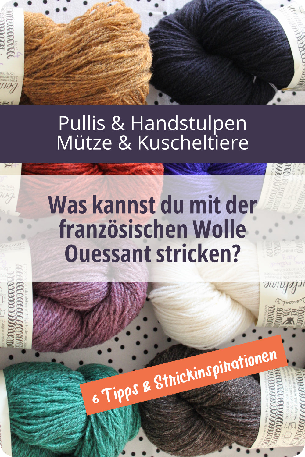 6 Stränge Wolle mit dem Titel Was kannst du mit französischer Wolle Ouessant stricken?