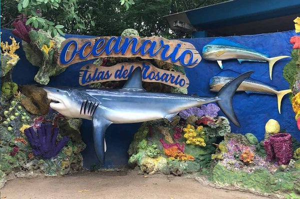 Visitar el Oceanario en Cartagena