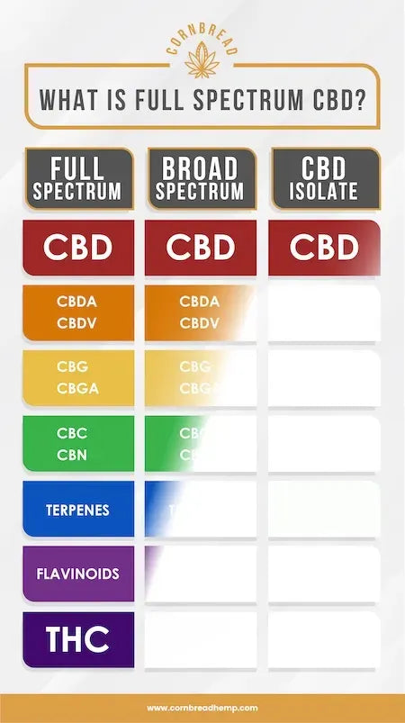 types of cbd infographic full spectrum vs broad spectrum