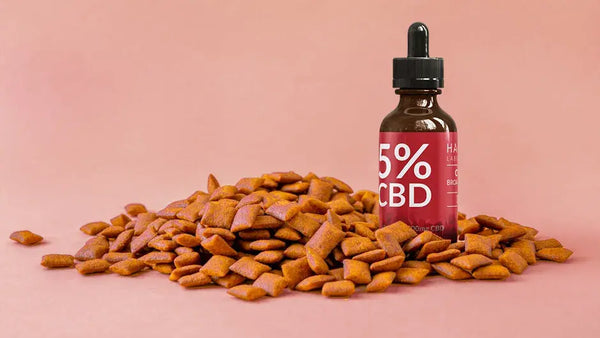 L’huile de chanvre est-elle bonne pour les animaux ?