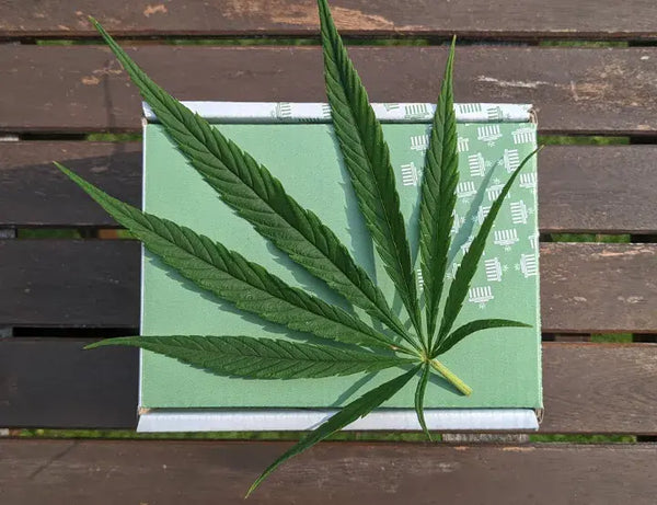 Comment choisir le CBD ?