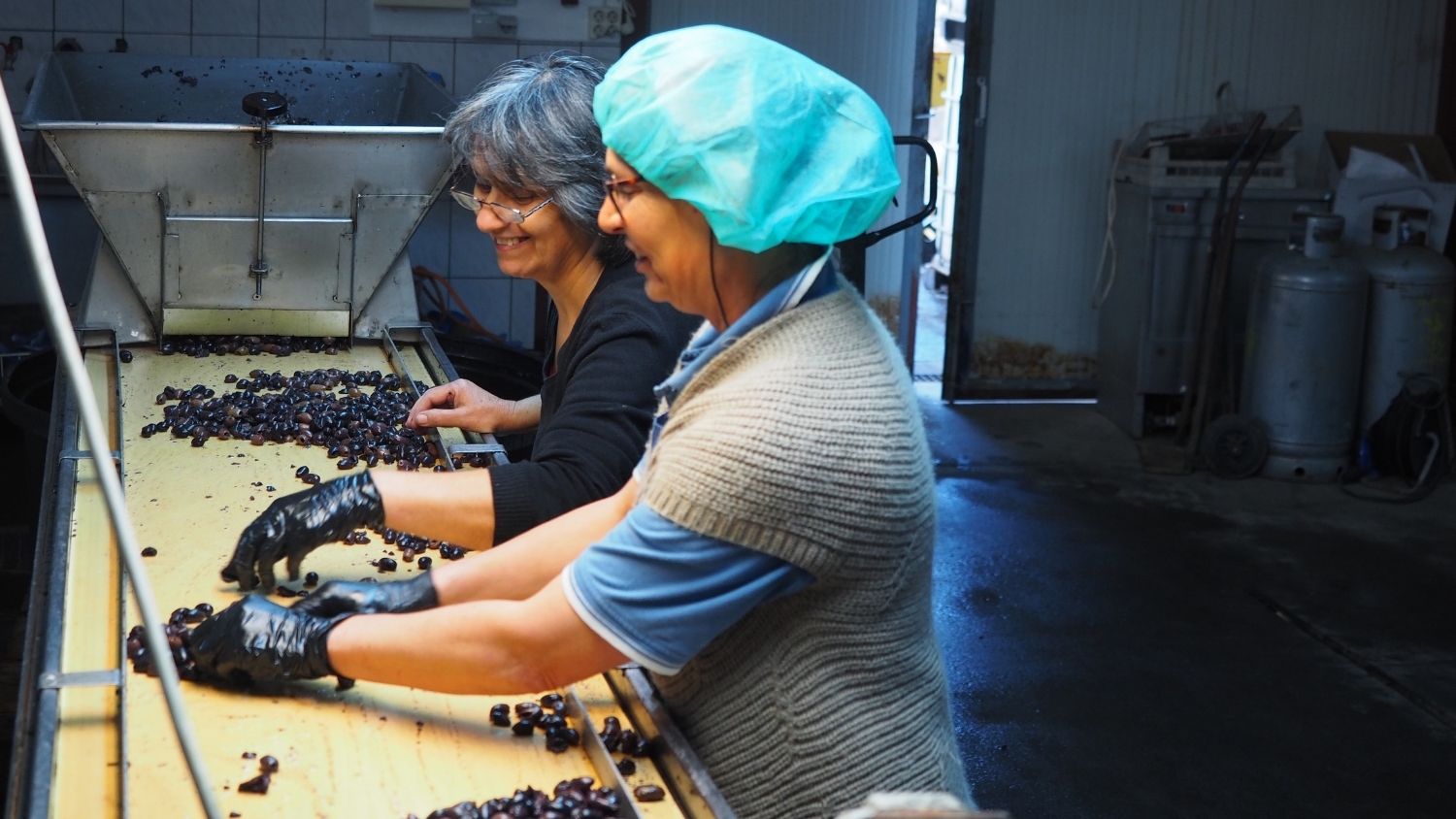 TARABAO: Bio Oliven und Feinkost über Direktbezug aus Griechenland