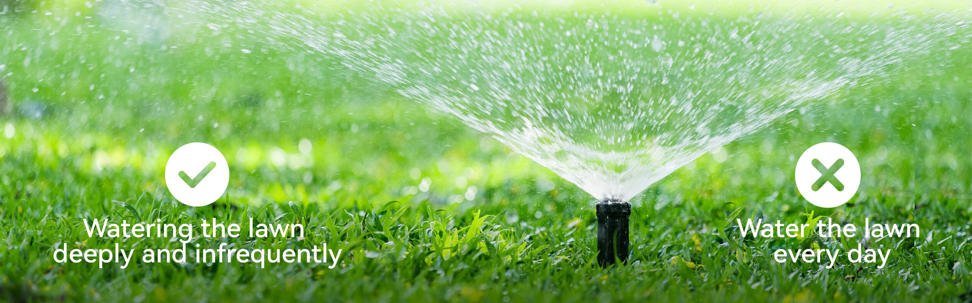 sprinklers heads