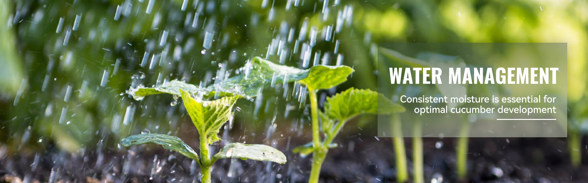 garden sprinklers