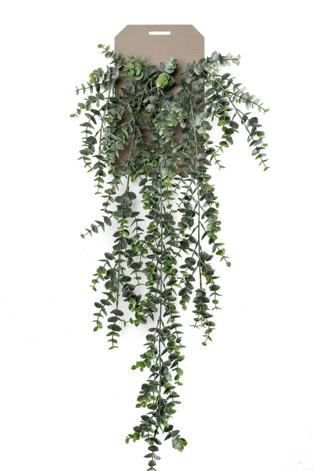 Plante Suspendue Eucalyptus Artificielle 75cm