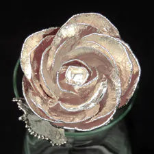 Silver dipped rose