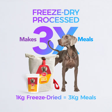 A dog standing next to a rawr4dogs freeze-dried bag with 3x food written in background