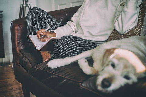 woman sitting couch writing with dog