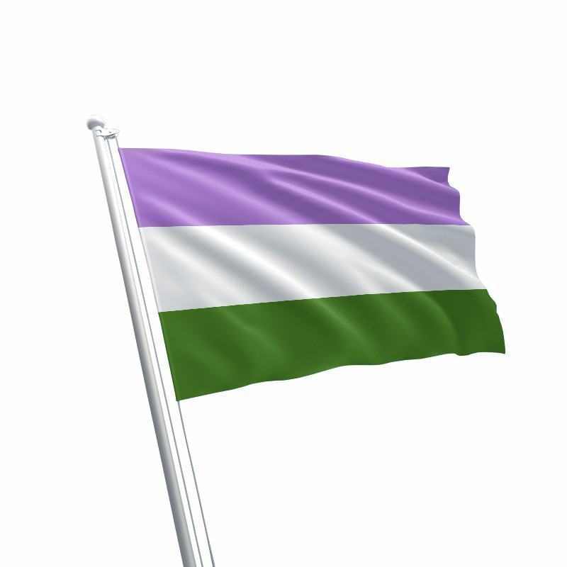 Large Genderqueer Flag We Show Pride 1313