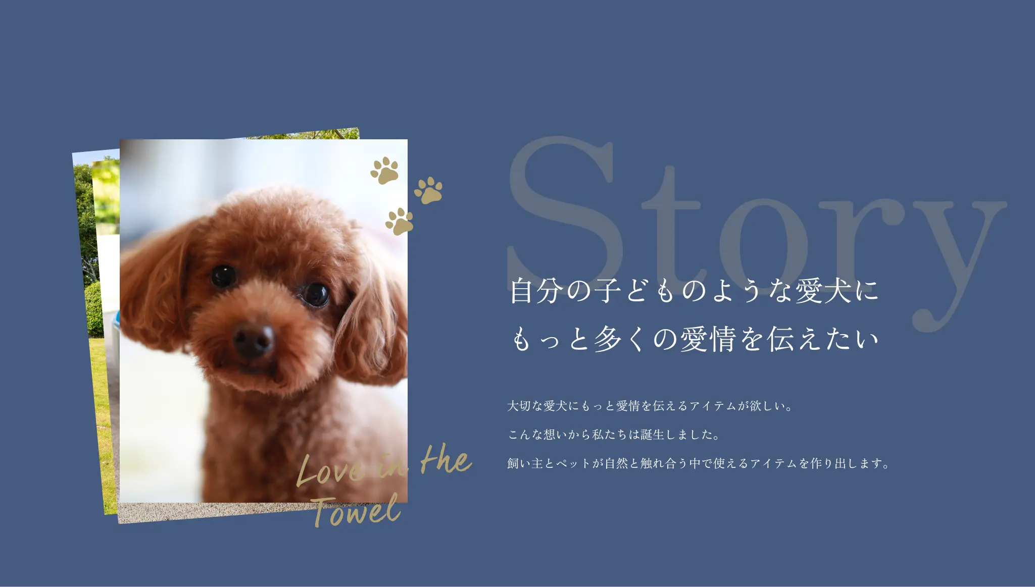 PC-子どものような愛犬にもっと愛情を