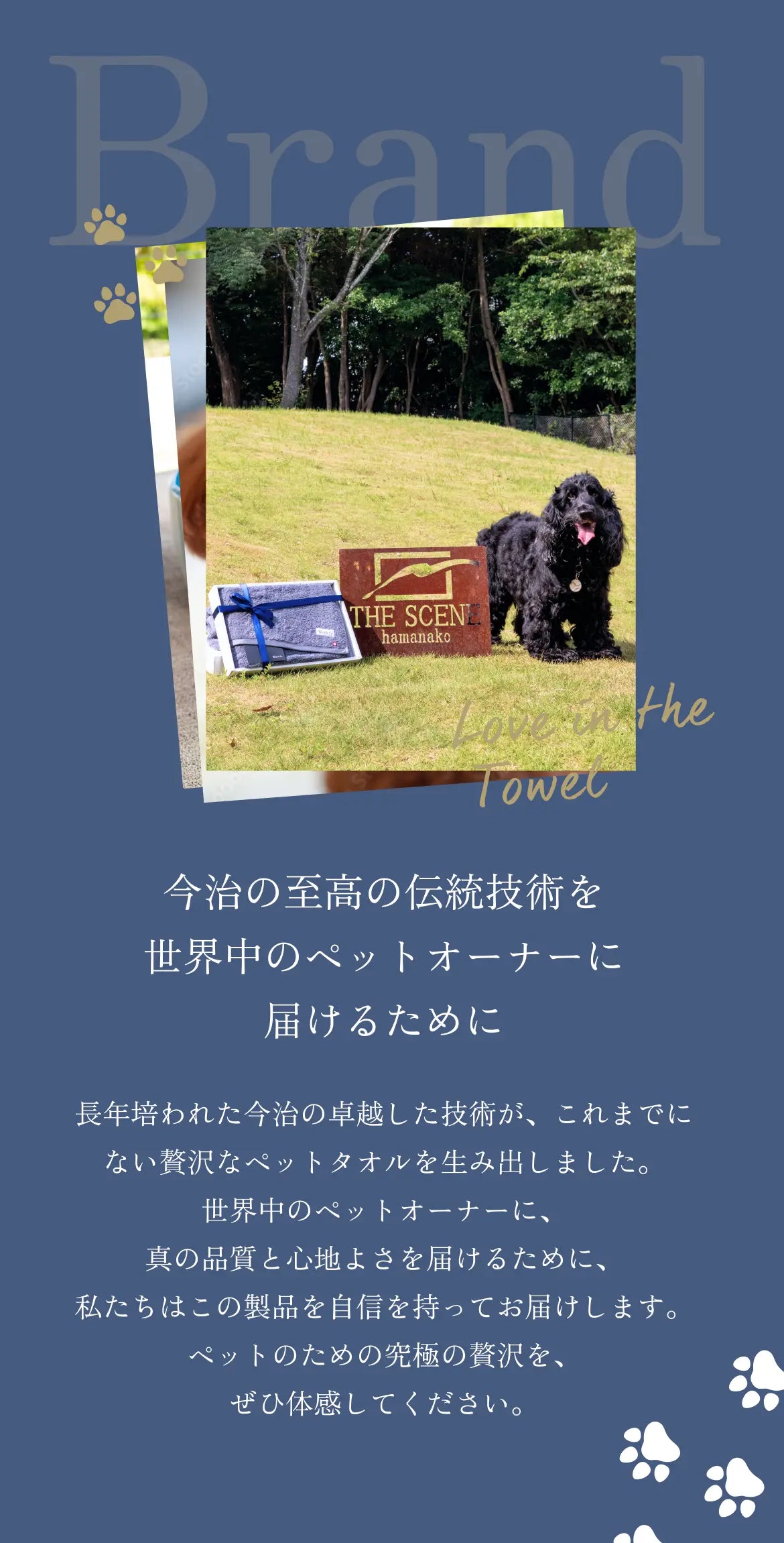 SP-今治の至高の伝統技術を世界中のペットオーナーに届けるために