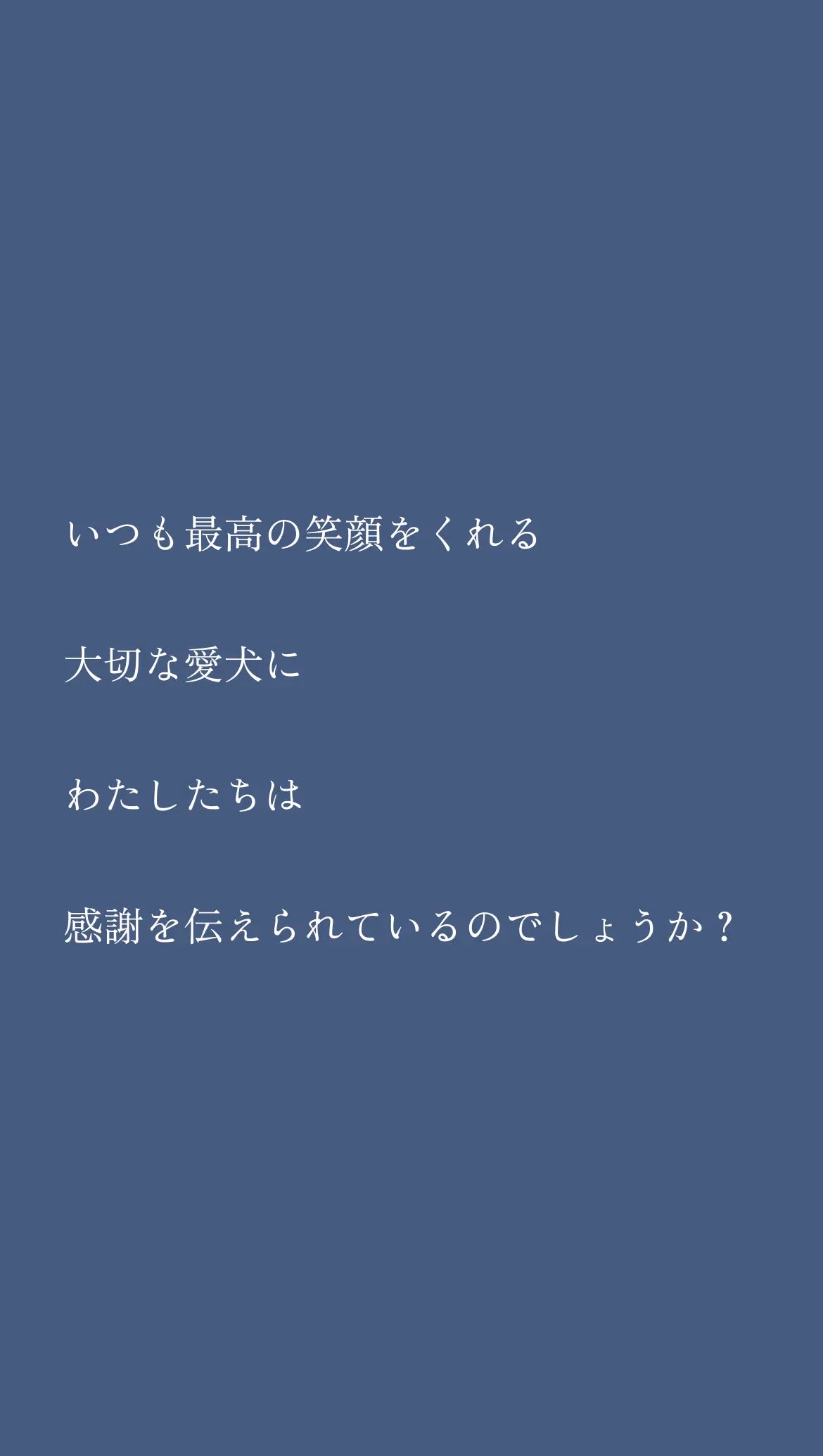 SP-メッセージ