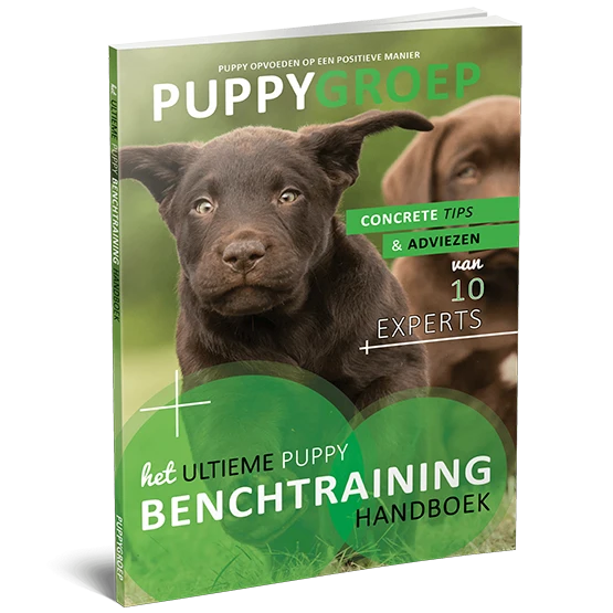 Het Ultieme Puppy Benchtraining Handboek.webp__PID:4e2c93a3-7d4d-4d52-841d-13526f15bf74