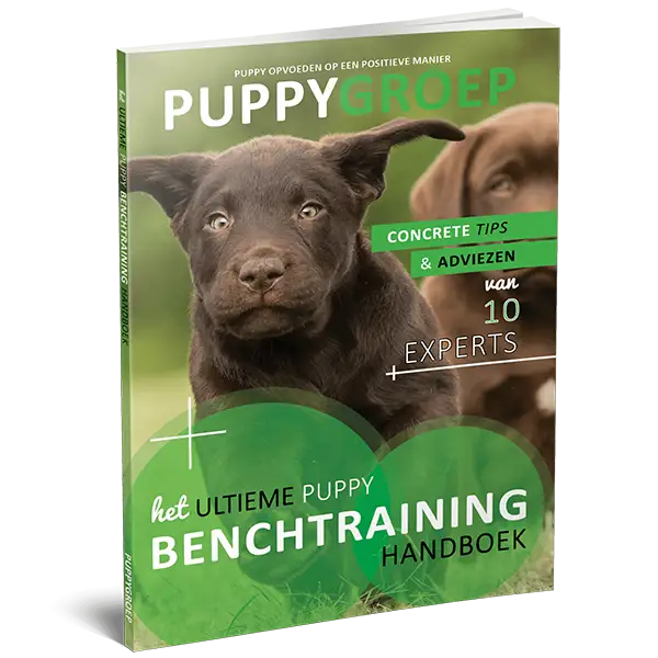 Het Ultieme Puppy Benchtraining Handboek.webp__PID:17e7eefc-eb24-4904-aaab-469a74e7fc8d