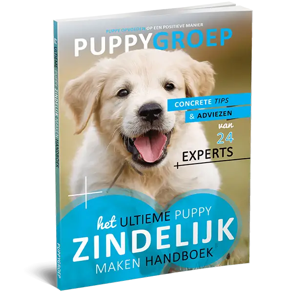 Het Ultieme Puppy Zindelijk Maken Handboek.webp__PID:3d3417e7-eefc-4b24-9904-eaab469a74e7