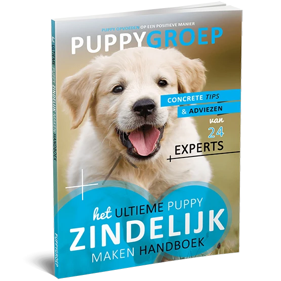 Het Ultieme Puppy Zindelijk Maken Handboek.webp__PID:2c93a37d-4d2d-42c4-9d13-526f15bf7470