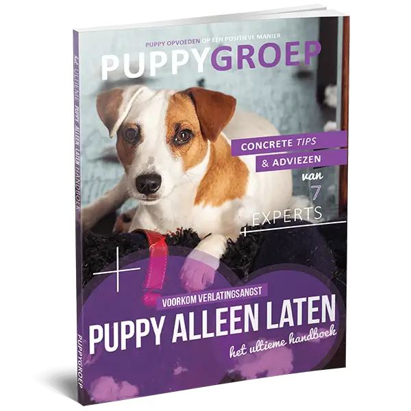 Het ultieme puppy alleen laten handboek.webp__PID:eb241904-eaab-469a-b4e7-fc8d45d905b0