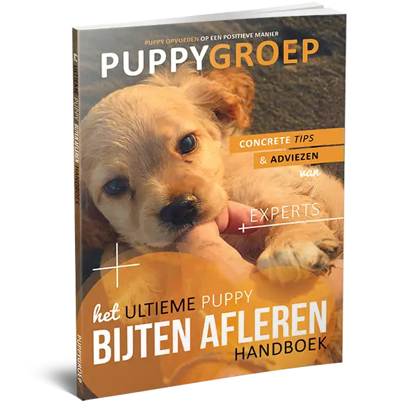 Het ultieme puppy bijten afleren handboek1.webp__PID:9c162217-ca03-47f5-afa5-581f8d07953a