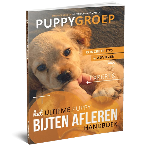 Het ultieme puppy bijten afleren handboek.webp__PID:7a4e2c93-a37d-4d2d-92c4-1d13526f15bf