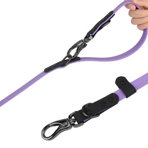 canine culture dog leash dog lead double ended two clips