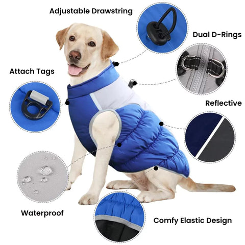 dog coat