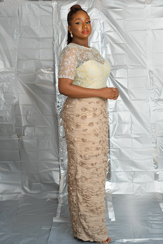 Lace and Chiffon Gown