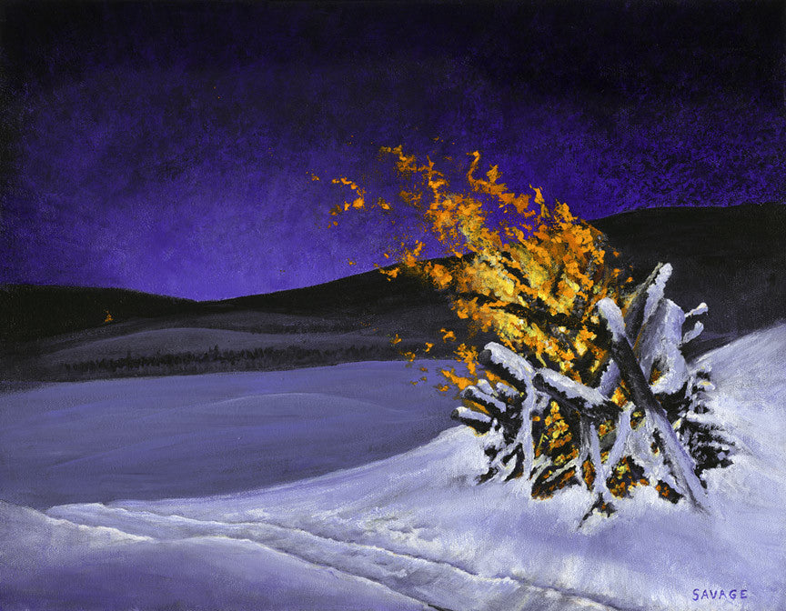 Download Burn piles, winter - James Savage Arts