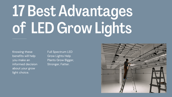 17 best advantages of led grow lights