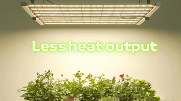 led grow lights generate less heat output
