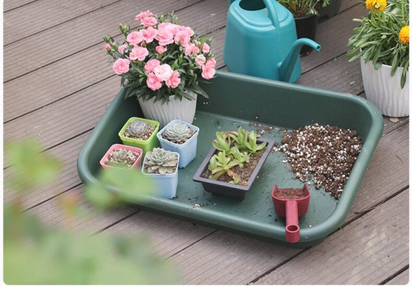 outdoor tray of plants