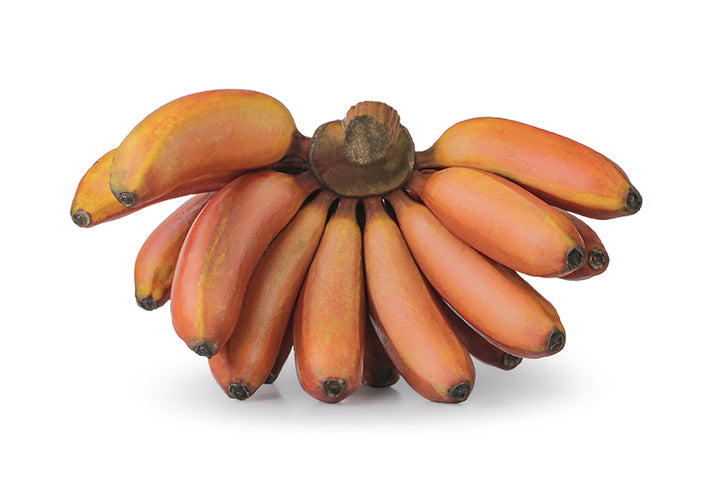 heltinde Meget Pløje Did yo know these red banana benefits? Know more know!