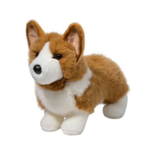 Konner DLux Tri-Color Corgi