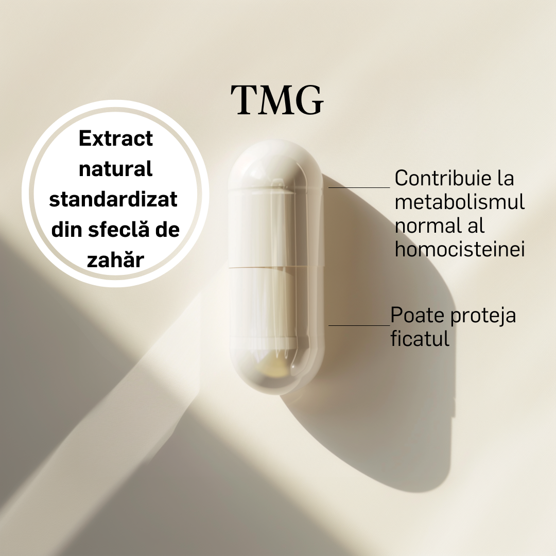 TMG 500mg - Zitamine product image