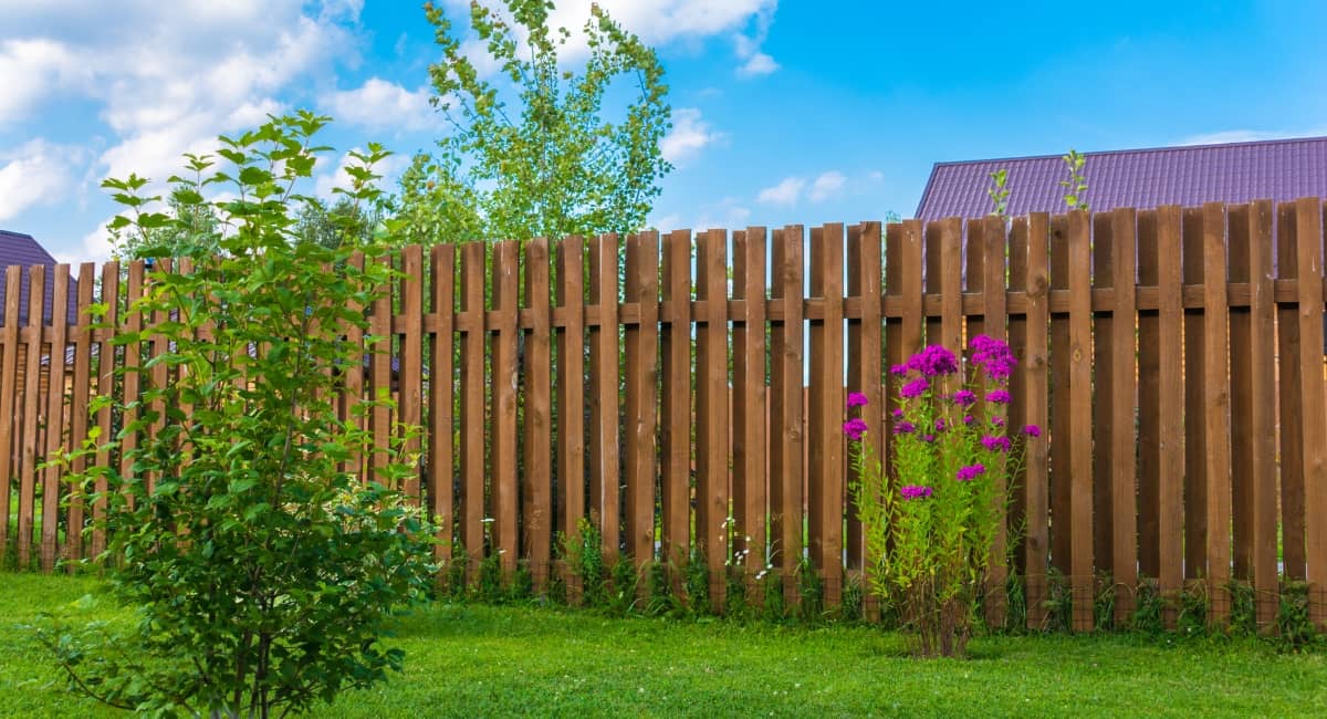 hidden camera in fence